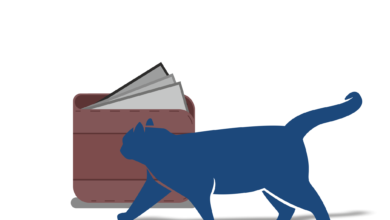 Photo of Кредит на отпуск: сравнение предложений банков